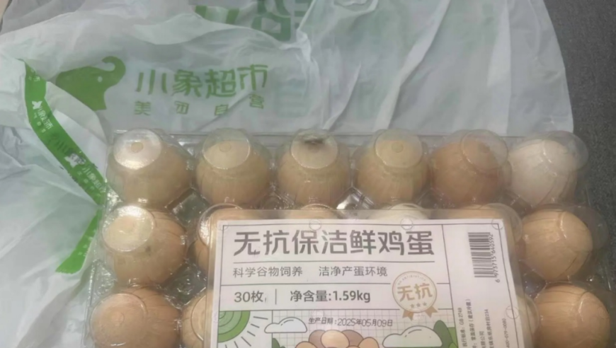 华谊公主王文也疑似怀孕,刘伯温资料大全免费查看网站,多元化方案执行策略_体验版V5.72